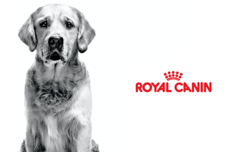 Royal Canin Výživa pre šteňatá
