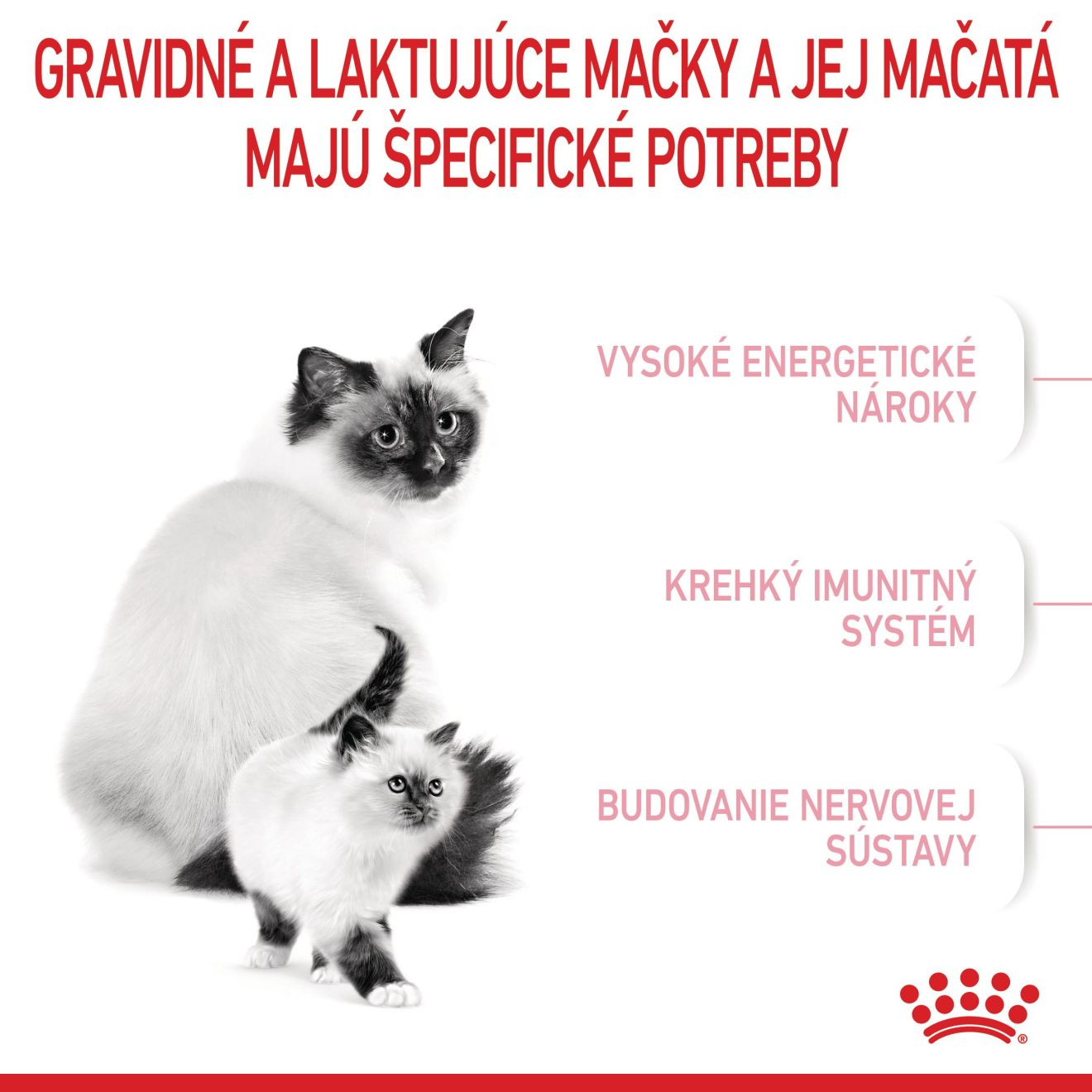 Royal Canin Gravídne, laktujúce mačky a mačiatka