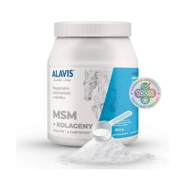 ALAVIS MSM pre kone plv. 600 g