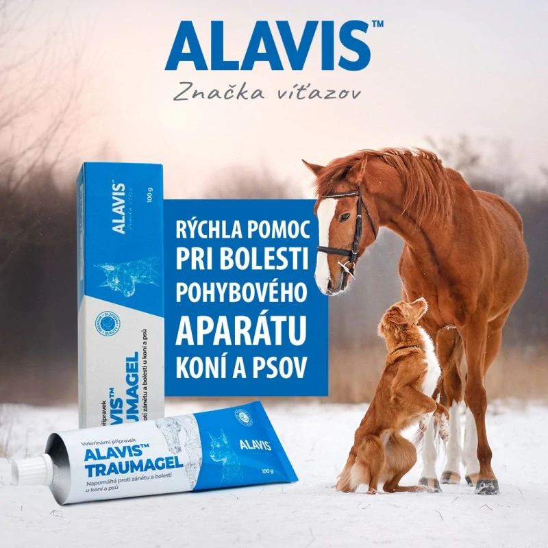 ALAVIS Traumagel 100 g