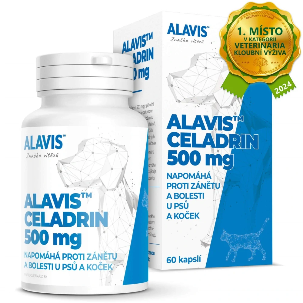 ALAVIS Celadrin 500 mg 60 tbl.