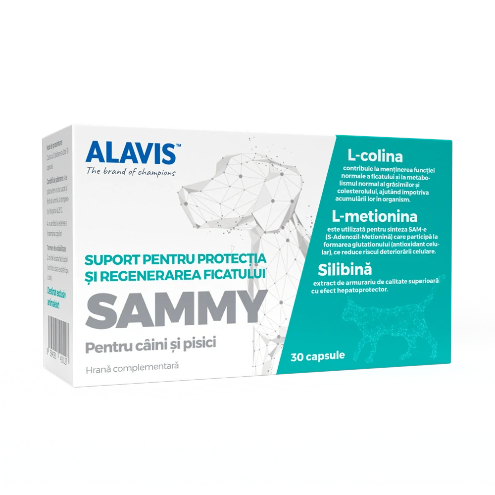 ALAVIS Sammy 30 tbl.