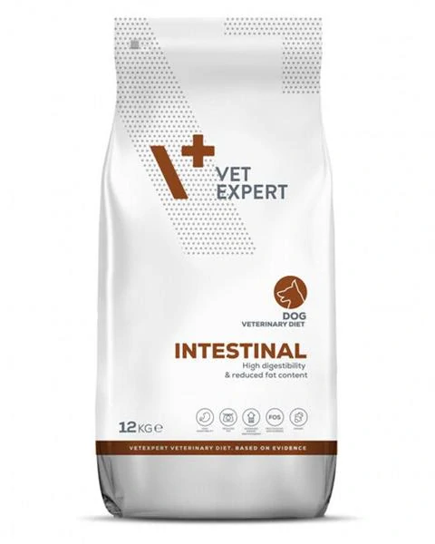 VetExpert VD dog 4T Intestinal 12 kg