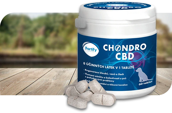 Fortify Chondro CBD 140 tbl.