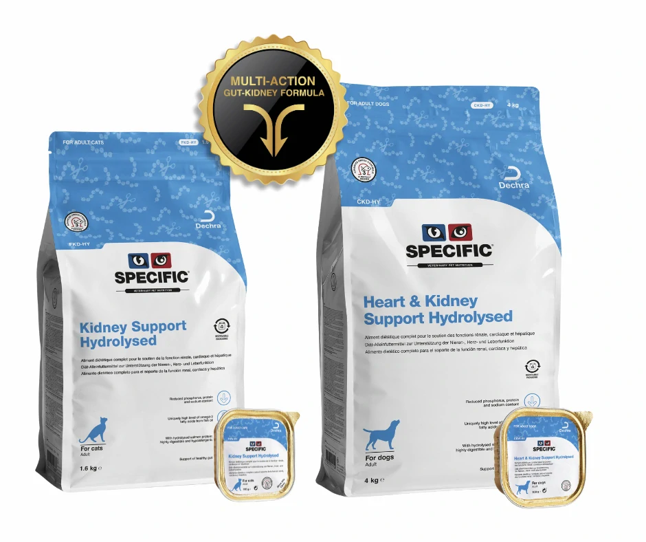 SPECIFIC CKD-HY Heart & Kidney Support Hydrolysed, 3 x 4 kg