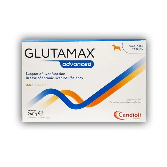 GlutaMax Advanced multiblister 120 tbl.