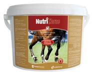 Nutri Horse Biotin plv. 1 kg 