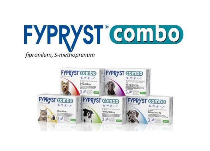 FYPRYST Combo M 134/120,6 mg spot-on Dog 1 x 1,34 ml 