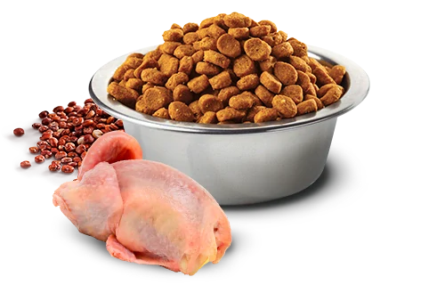 Farmina N&D cat QUINOA (GF) adult, skin & coat, quail & coconut 1,5 kg