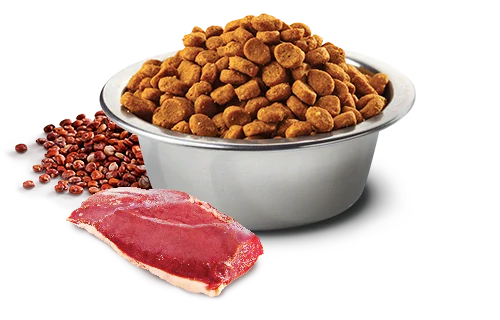 Farmina N&D cat QUINOA (GF) adult, urinary, duck & cranberry 0,3 kg