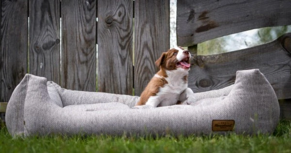 Pelech Recobed Harmony svetlohnedý