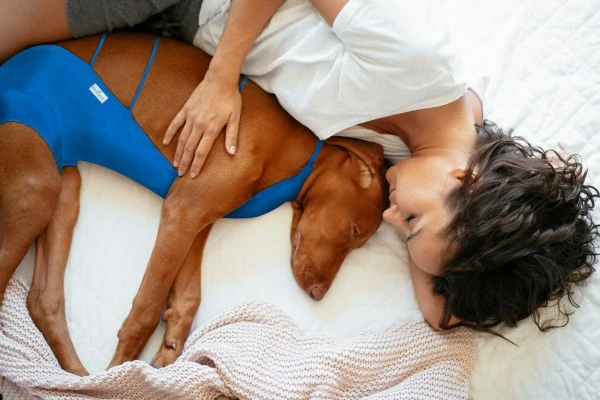 Košieľka pooperačná ochranná Recowear FIT č.3 - 33 cm