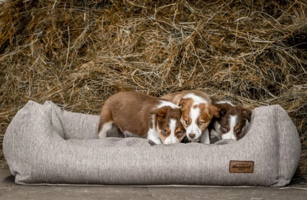 Pelech Recobed Harmony svetlohnedý