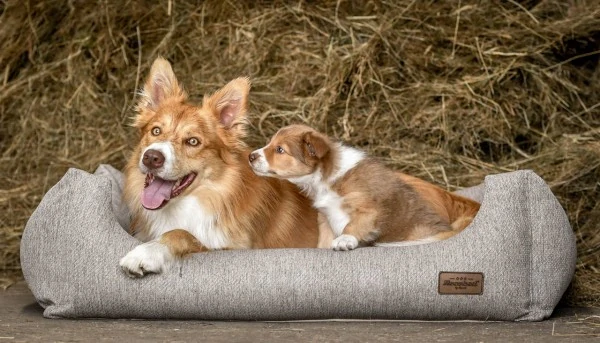 Pelech Recobed Harmony svetlohnedý