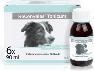 ReConvales Tonicum dog 6 x 90 ml 