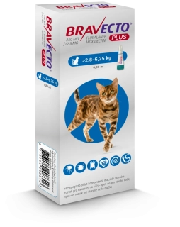 Bravecto Plus Cat spot-on 250 mg / 12,5 mg roztok pre stredne veľké mačky (>2,8-6,25 kg)