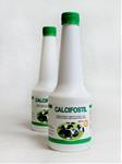 Calcifostil gel 480 ml