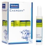 Energan Pansenstarter pasta 12 x 325 g