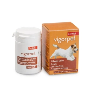 Vigorpet Dogs tablety, 20tbl.