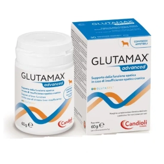 Glutamax Advanced 30tbl (psy)