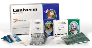 Caniverm forte tbl. 100 x 0,7 g