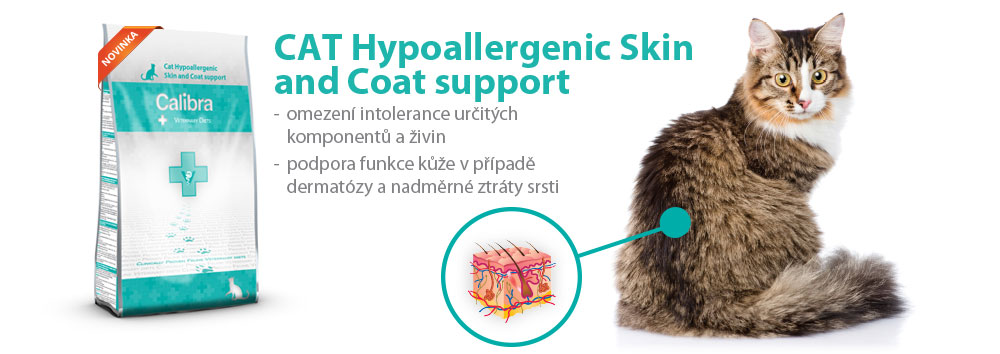 hypoallergenic-cat-cz-04